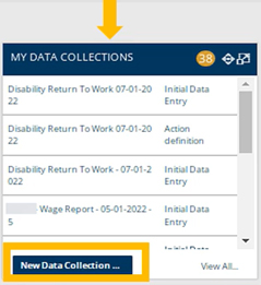 Employer Access Screenshot of New Data Collections